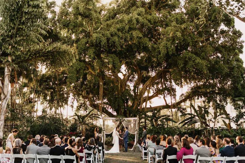 Banyan Tree Ceremony