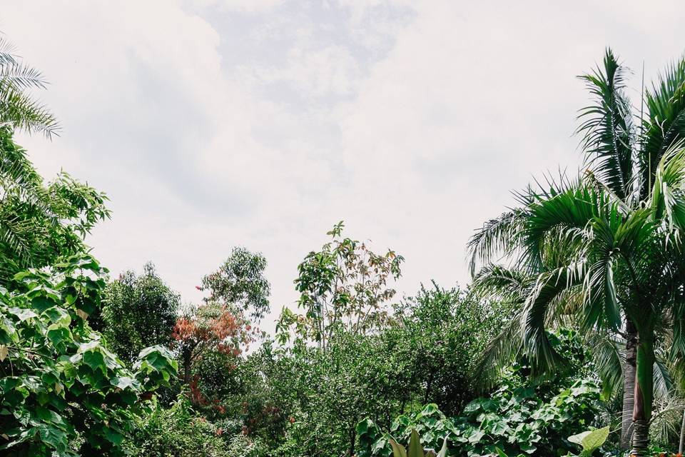 Path to Banyan Area