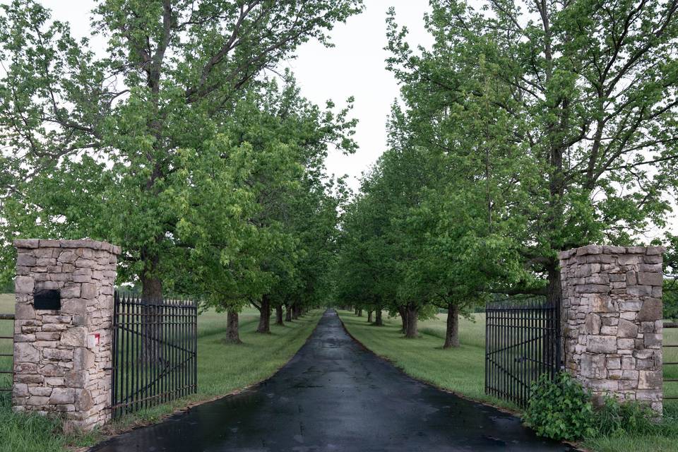Spring Lake Tree Lined Entry