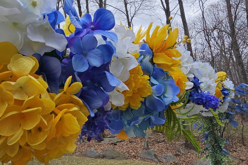 Blue and Yellow