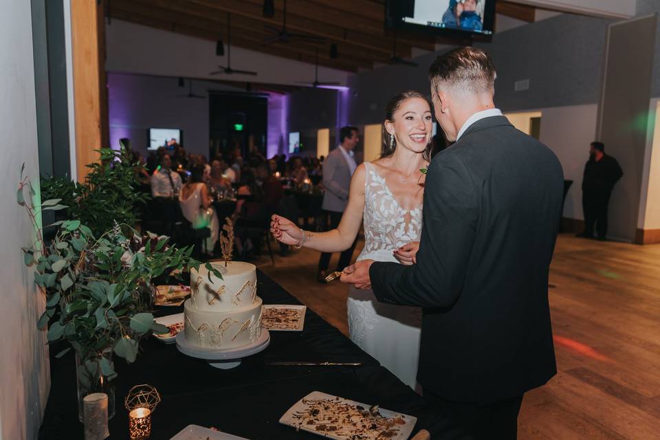 Cake Cutting