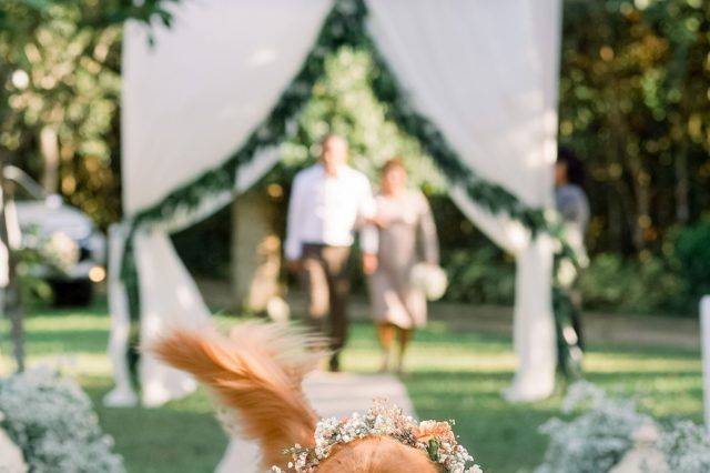 Walking down the aisle