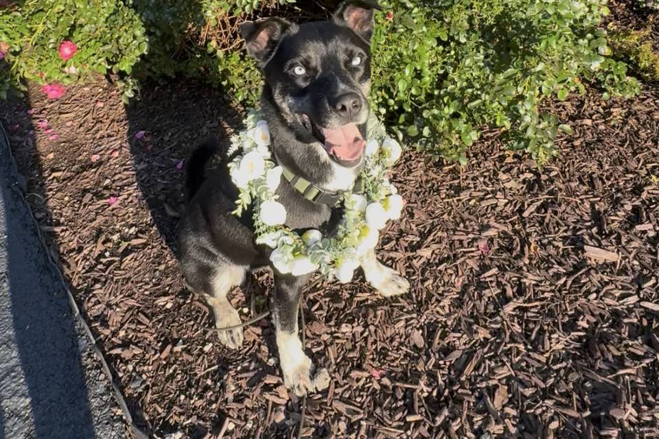 Posin in floral!