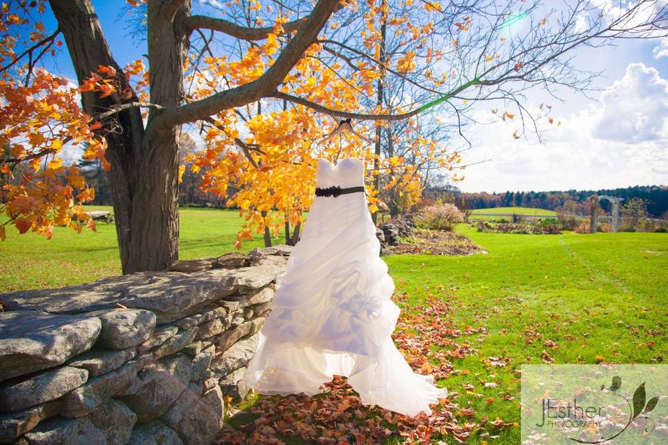 JEsther Photography