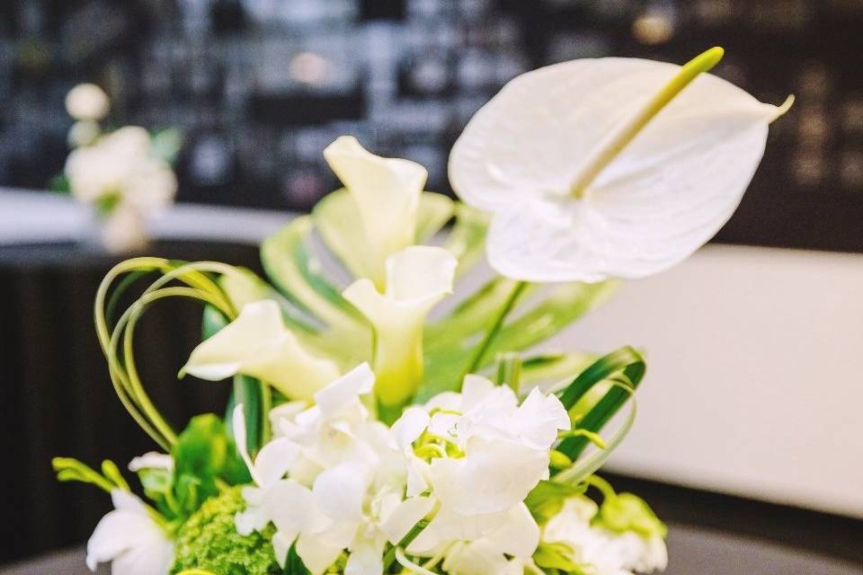 Petitamourflower