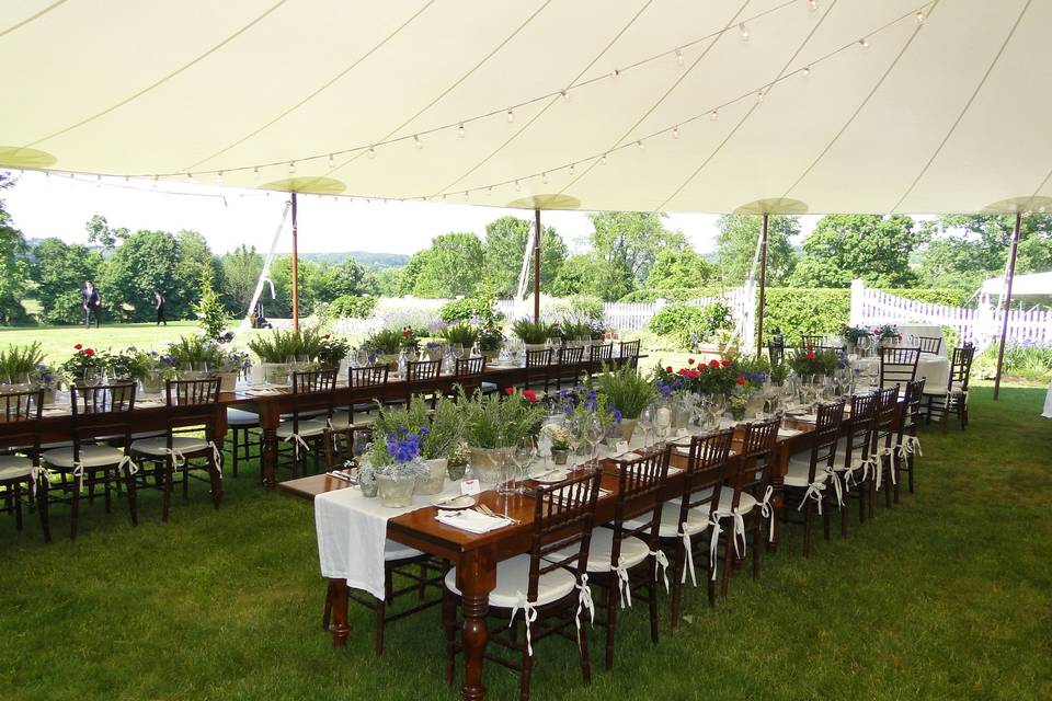 Tabletop Accessories - Columbia Tent Rentals