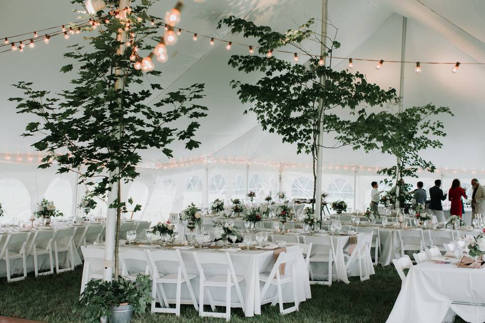 Inside of high peak pole tent wedding with bistro lighting