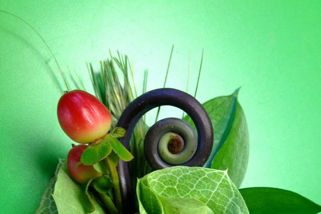 Fiddleheads Flower and Vintage Chic Gifts