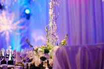 Boogie Lights Entertainment