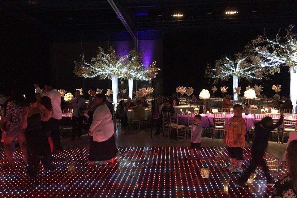 Boogie Lights Entertainment