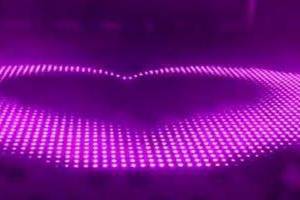 Boogie Lights Entertainment