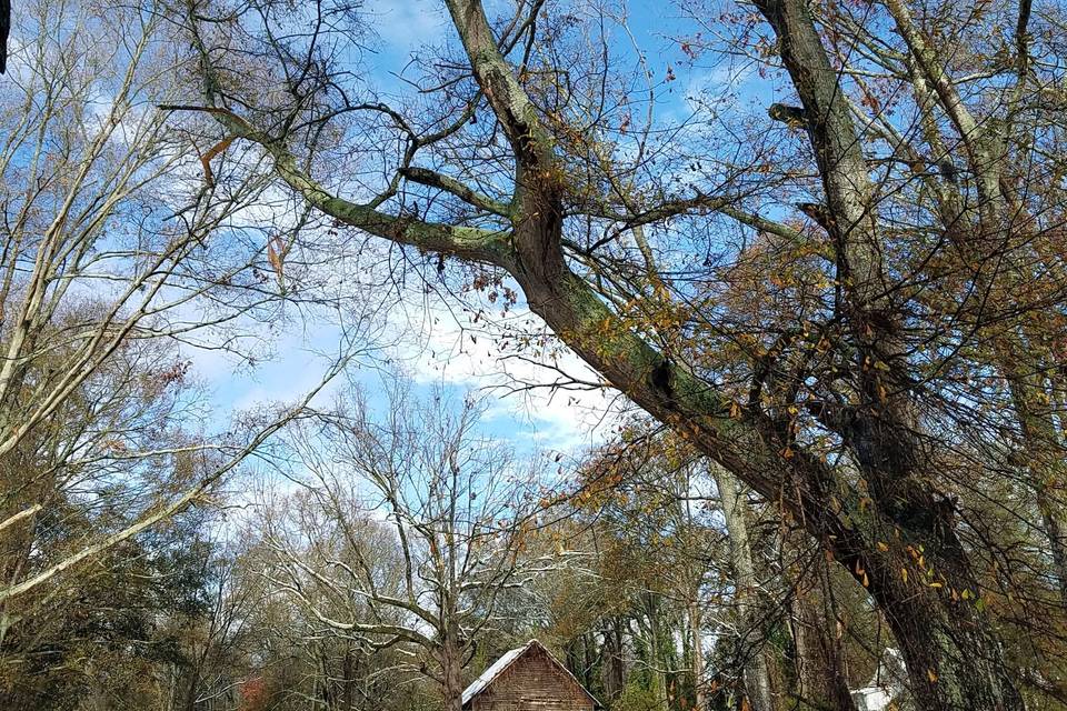 Magnolia Manor Bed & Breakfast