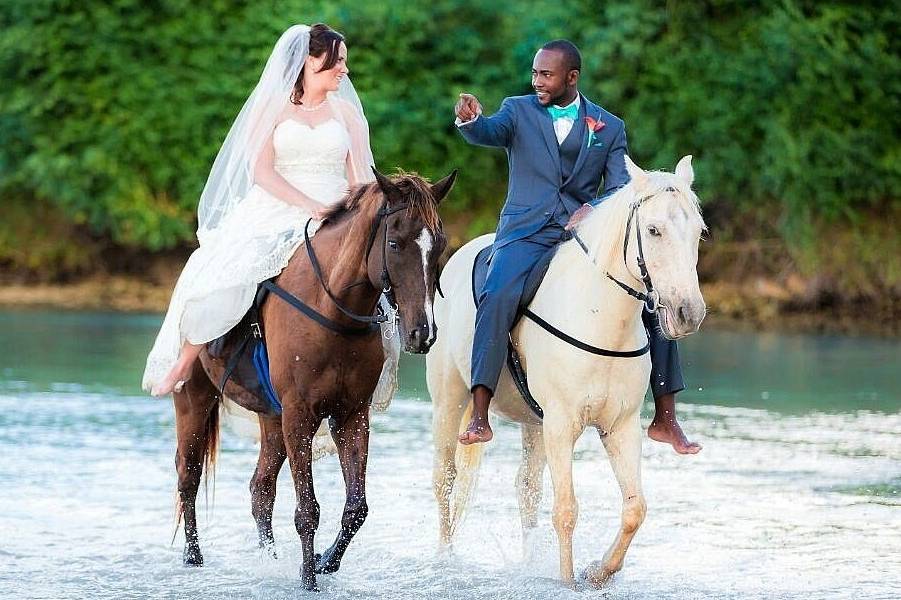 Trash the dress