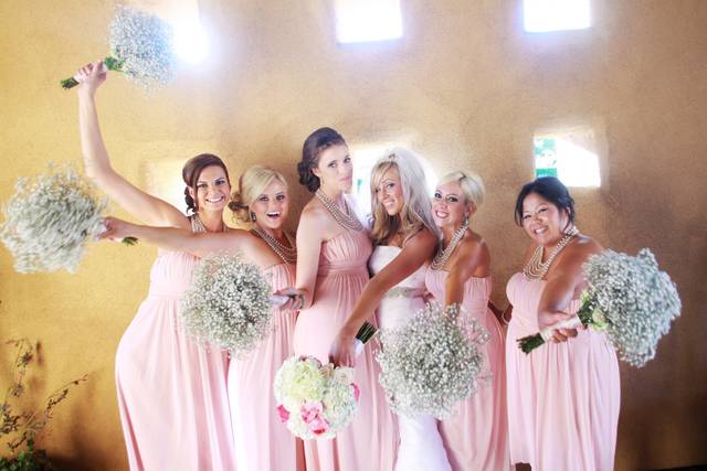 Bride and her bridesmaids