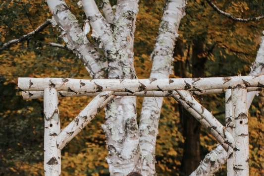 Foliage Wedding