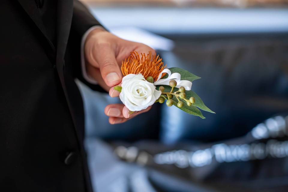 Mt Charleston Wedding