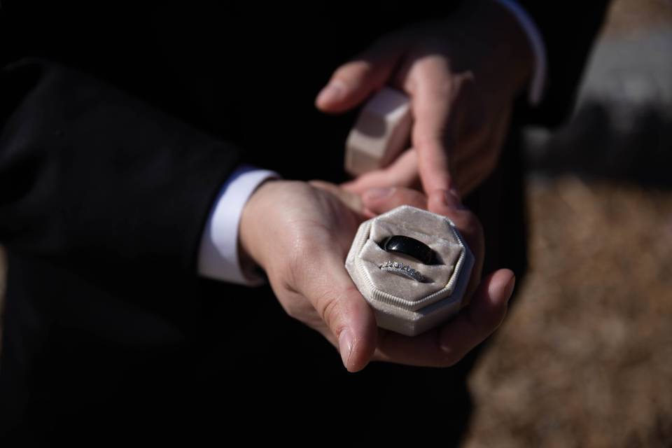 Mt Charleston Wedding