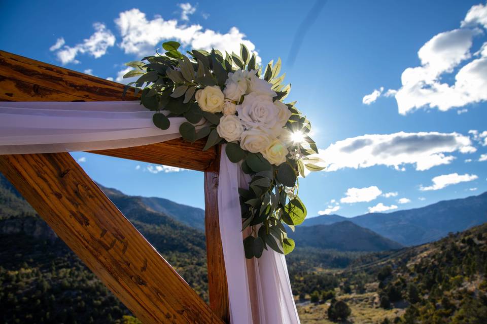 Mt Charleston Wedding