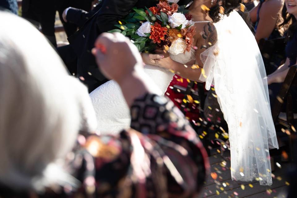 Mt Charleston Wedding