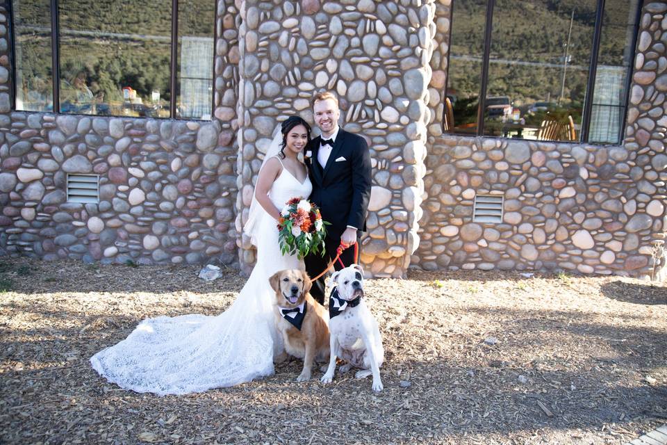 Mt Charleston Wedding
