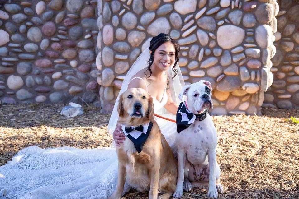 Mt Charleston Wedding