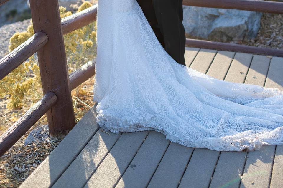 Mt Charleston Wedding