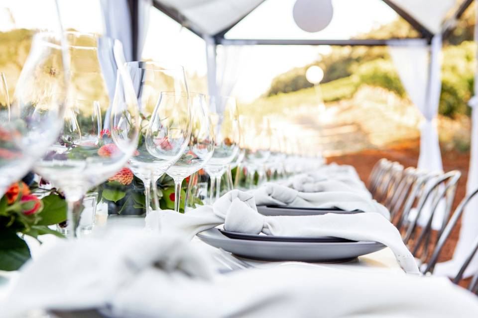fantesca-estate-winery-ihzSexPTKPU-unsplash.jpg