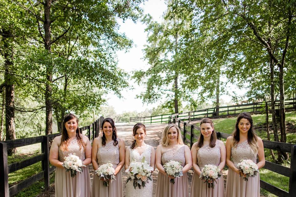 Bride and bridesmaids