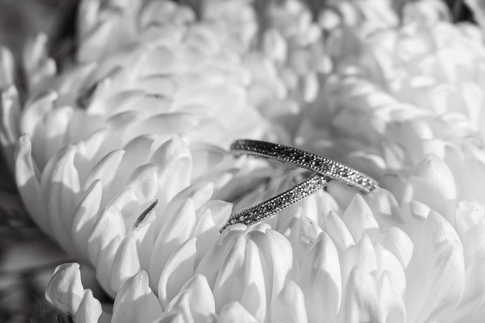 Carlos&Justin-Wedding-30.jpg