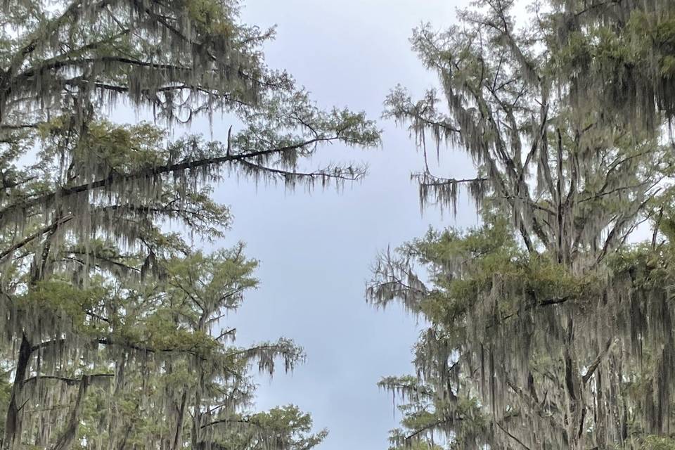 Lake Caddo TX/LA border