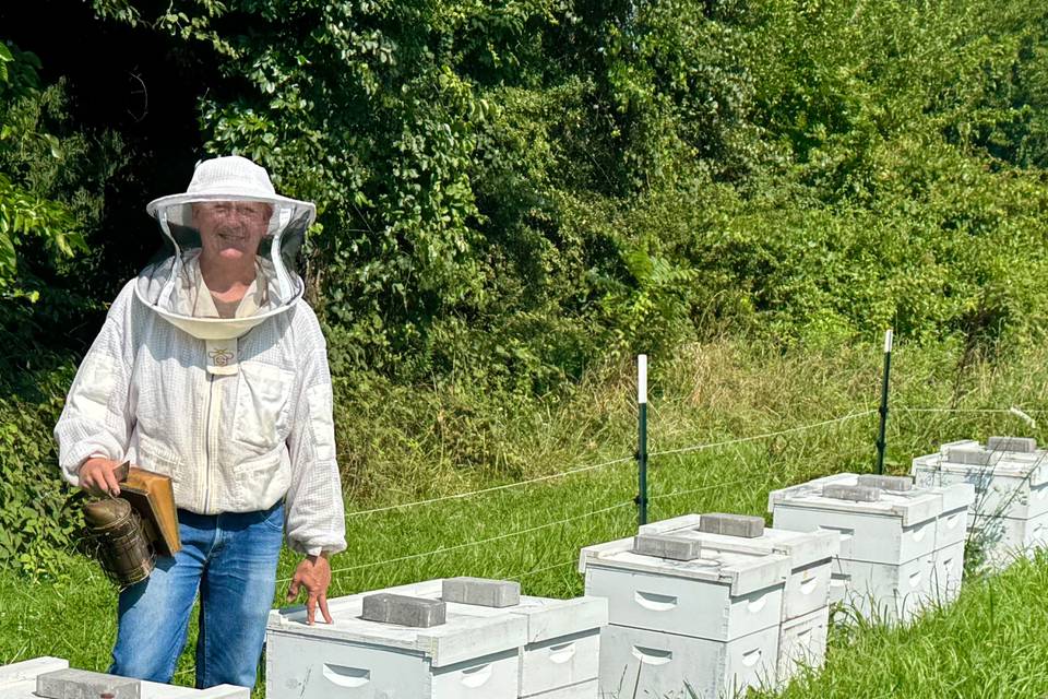 in the apiary.png