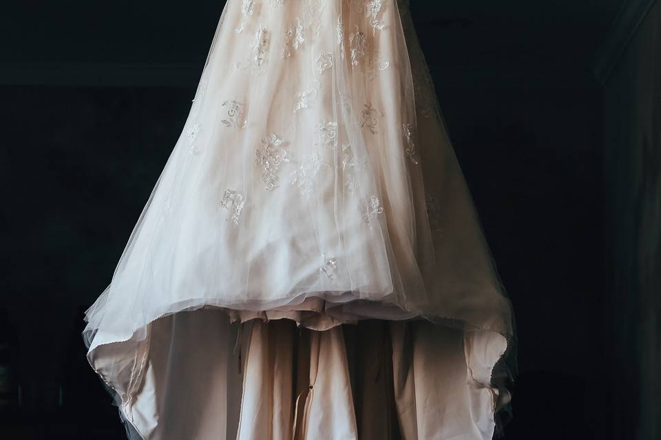 The Bride's Dress, Albany