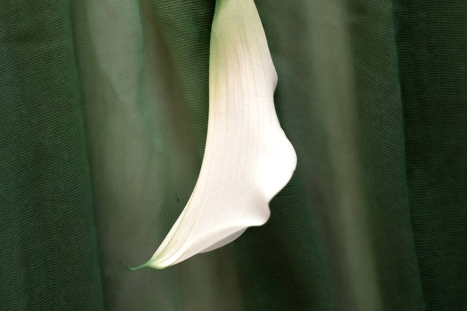 Details