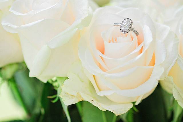 Jessica Jay James Photography