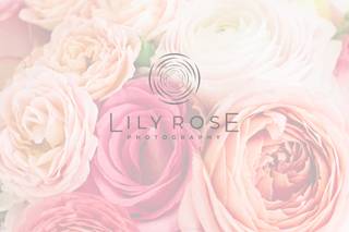 Lily Rose Photography