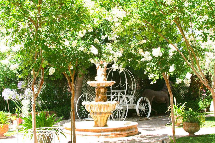 Water fountain and carriage