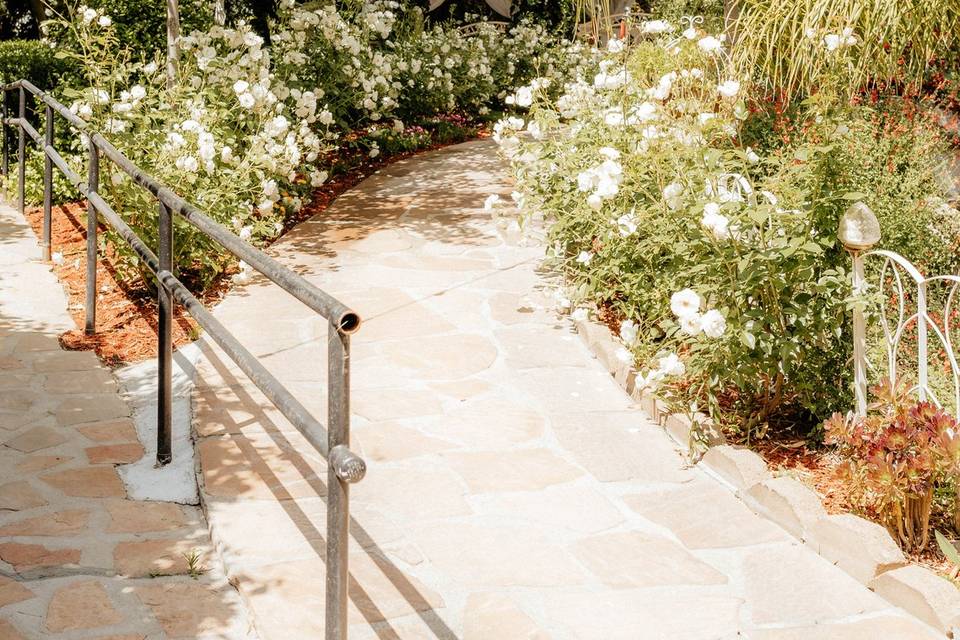 Walk through an aisle of roses