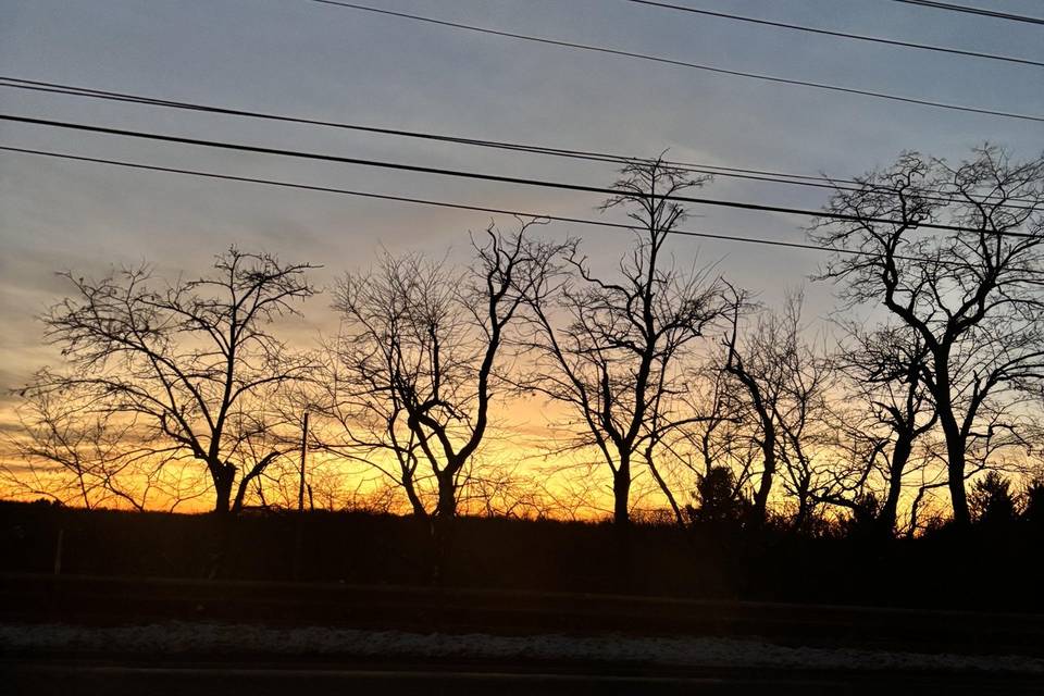 IMG_3601.jpeg
