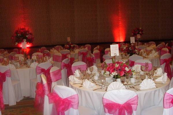 Pink Reception