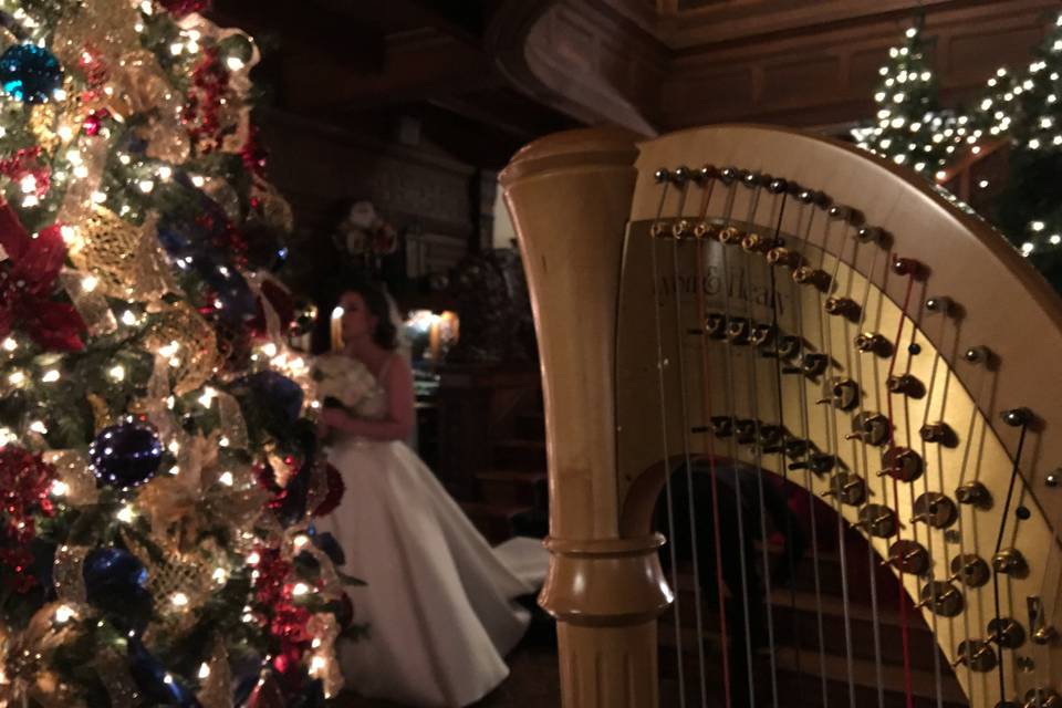 Harp at a Christmas Wedding
