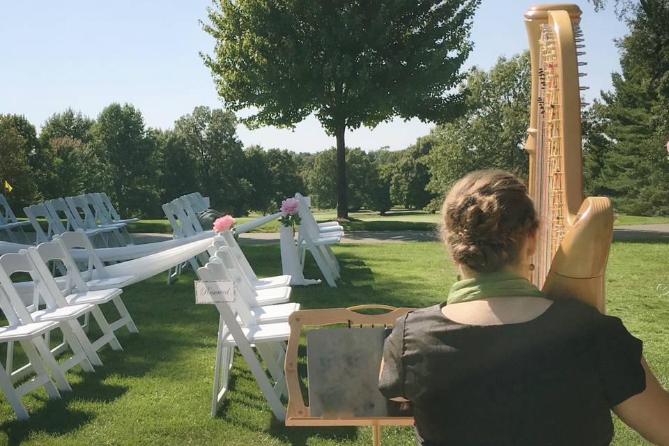 Summer Wedding with Harp