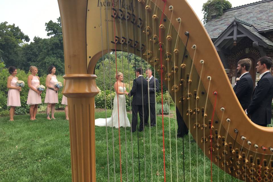 Harp at Wellfield Wedding