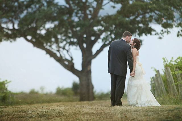 Images Unveiled Photography