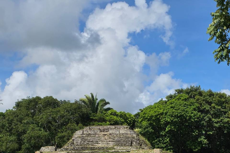 IMG_20251002_163544.jpg