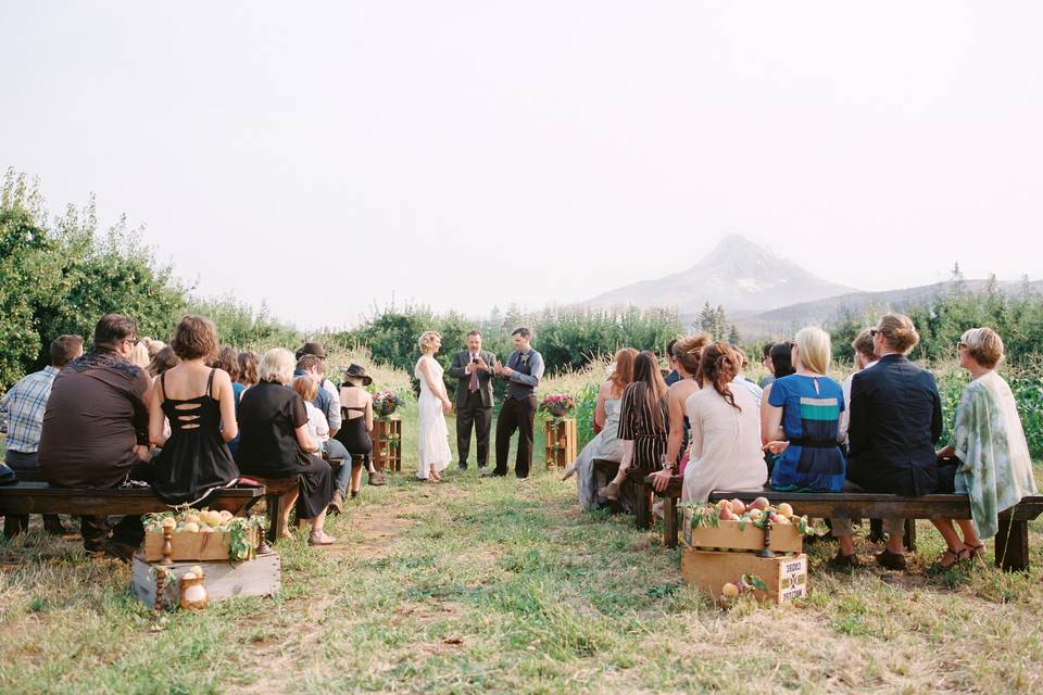 Mt View Orchards Weddings