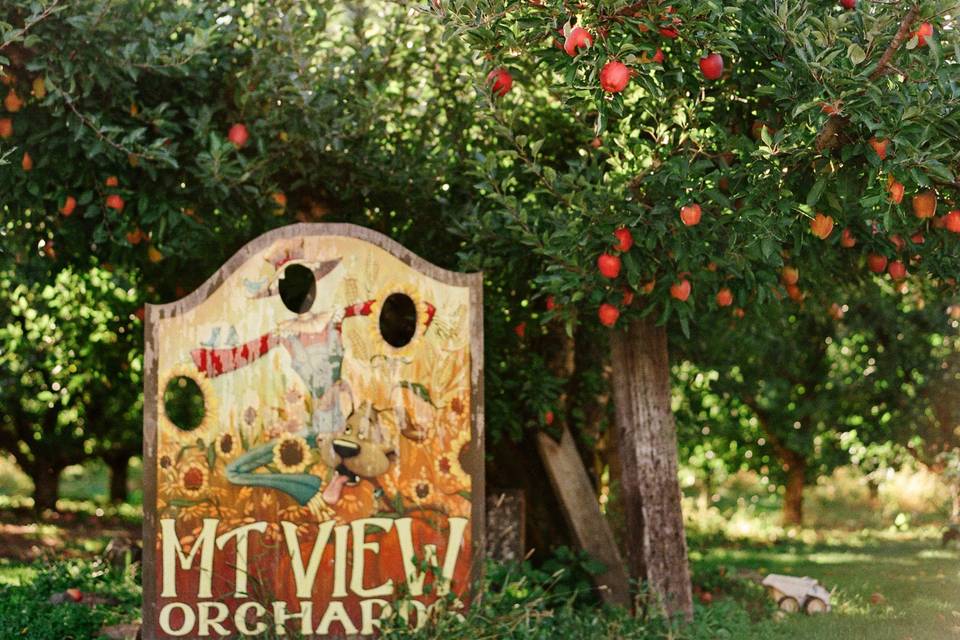 Mt View Orchards Weddings