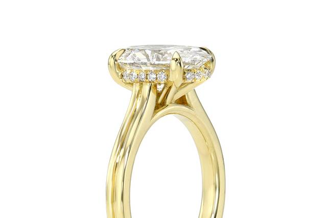 Engagement ring with hidden ha