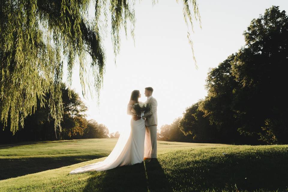 Under The Willow Tree