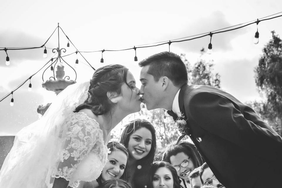 Season of Love Photography