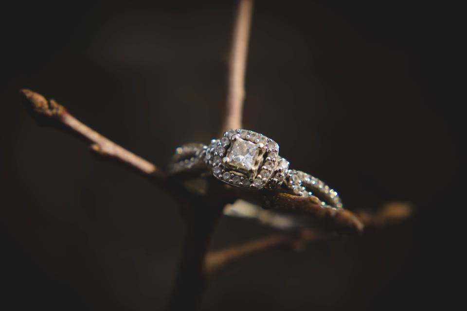 Season of Love Photography